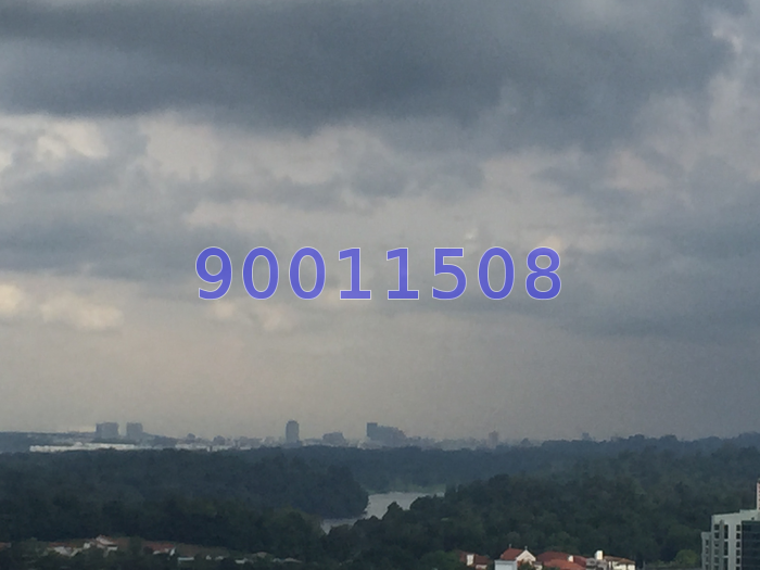 Bishan Loft (D20), Condominium #58711462